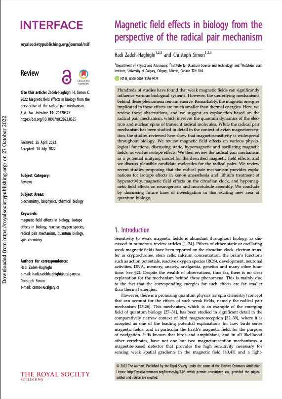 Captura de pantalla 2025-02-25 a la(s) 6.57.17 p.m.